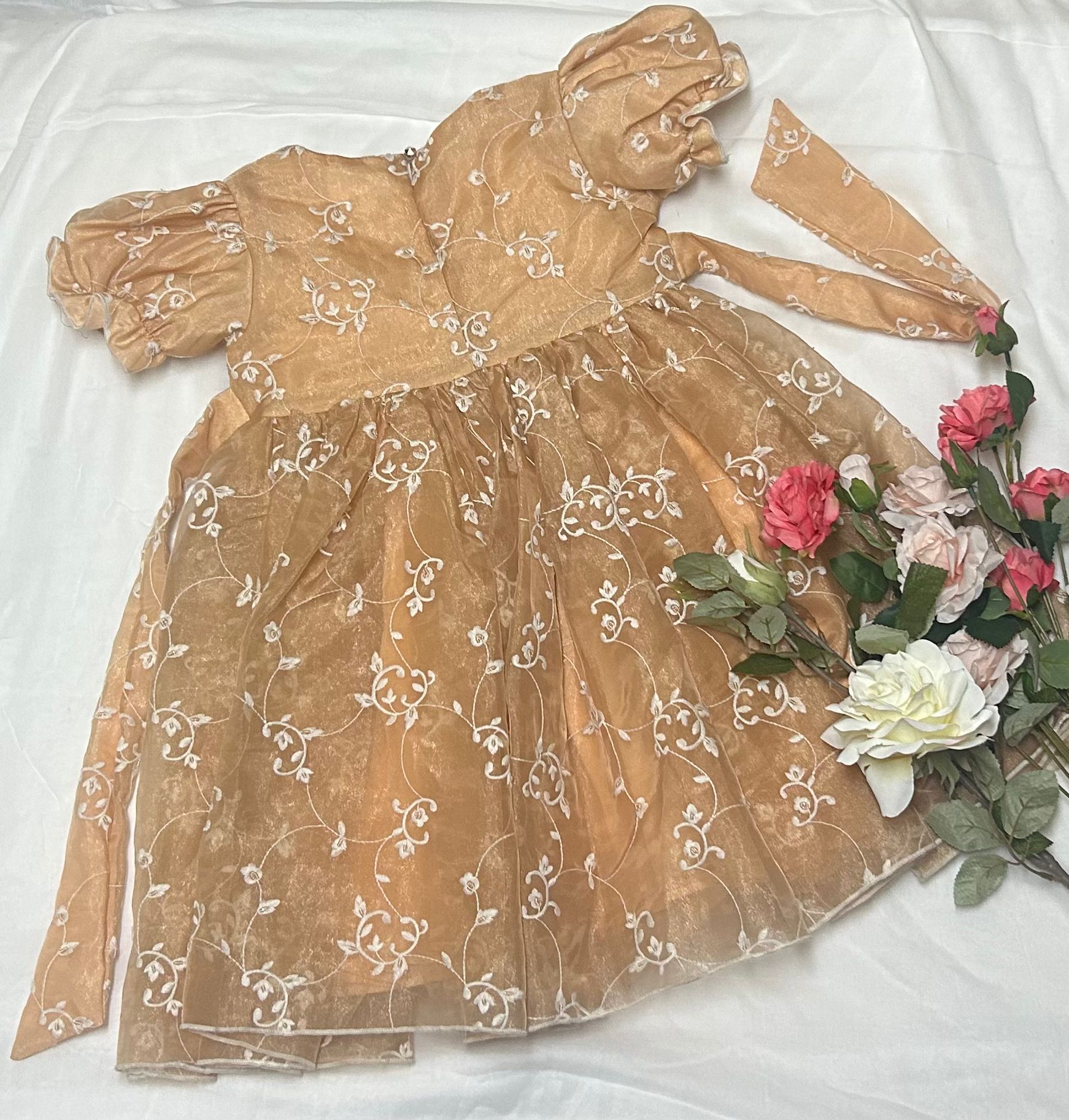 Peach Organza Dress