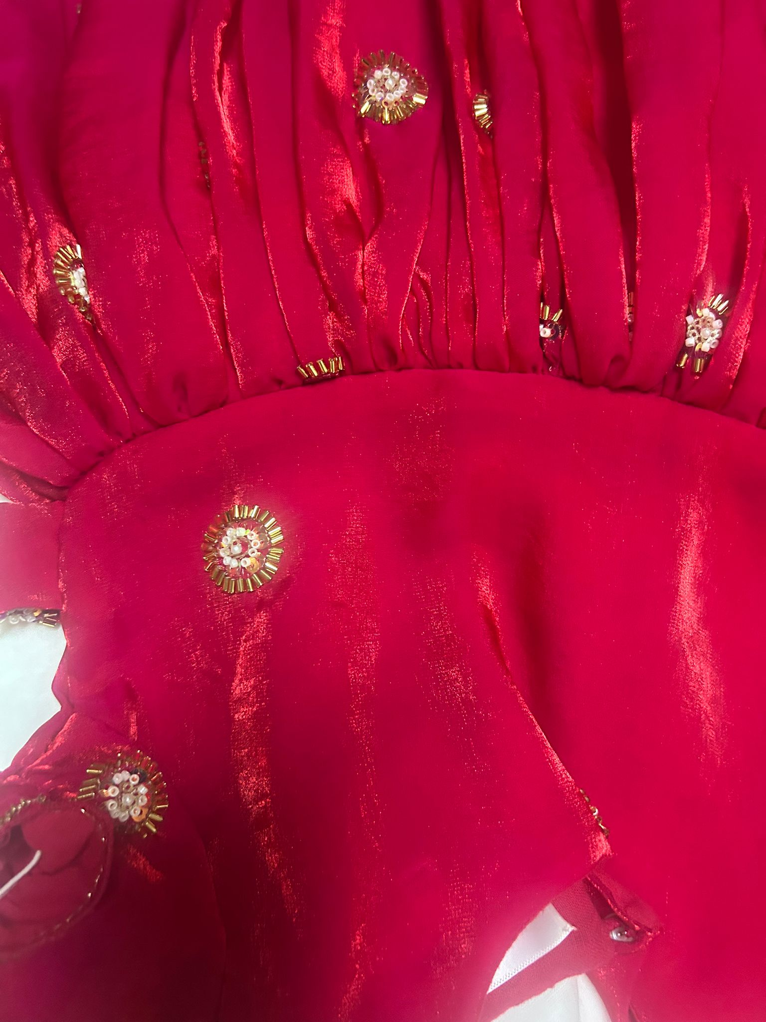 The Scarlet Bloom Dress