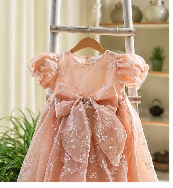 Peach Organza Dress
